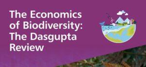 Dasgupta Review