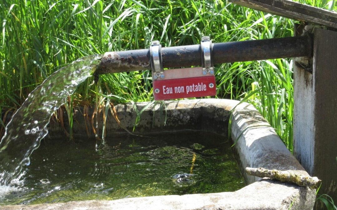 Réduction des pesticides dans l’agriculture suisse : progrès.