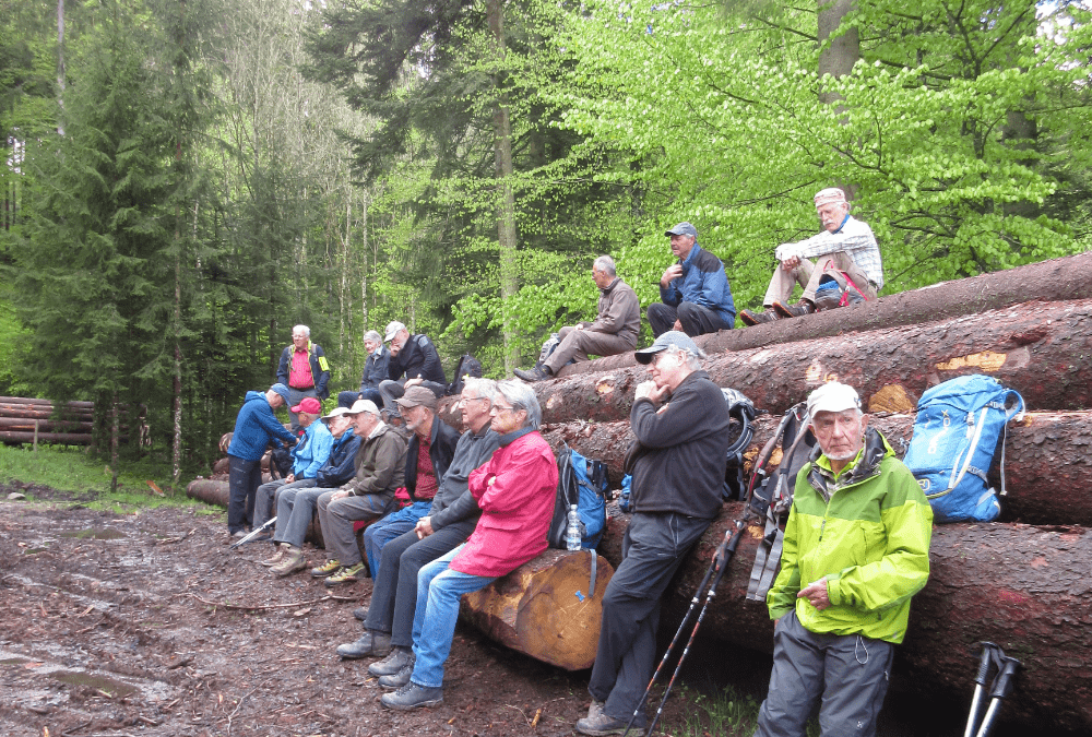 Forêts suisses appréciées