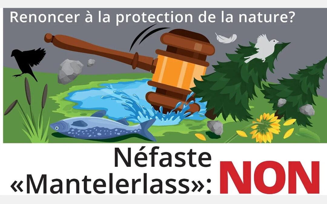 Electricité : Fondation Weber et UDC font front commun pour le NON